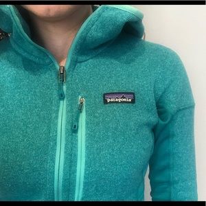 Patagonia Better Sweater Hoodie